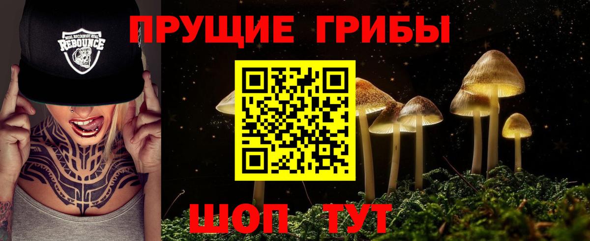 Галлюциногенные грибы MAGIC MUSHROOMS Тайшет