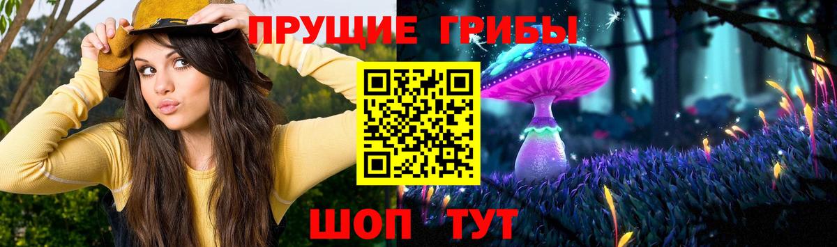 где продают   Галлюциногенные грибы ЛСД  Вход с VPN  Тайшет  Галлюциногенные грибы ЛСД 